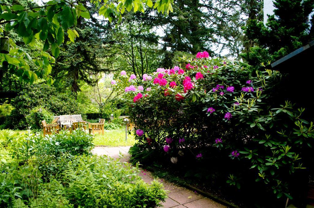 Haus Helvetia Bed & Breakfast Bad Orb Ngoại thất bức ảnh