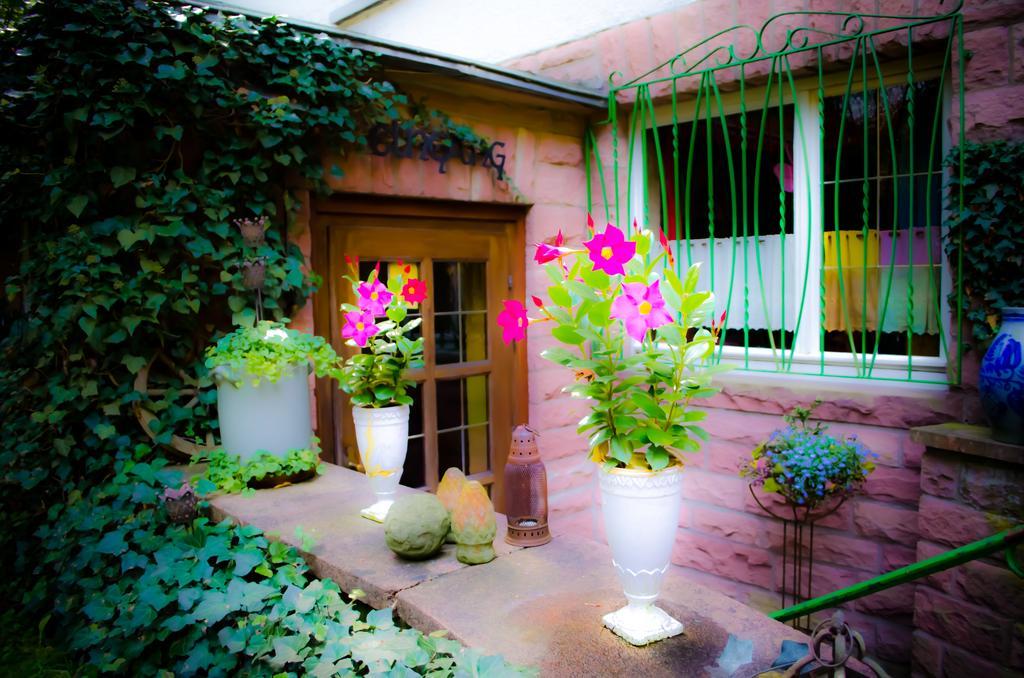 Haus Helvetia Bed & Breakfast Bad Orb Ngoại thất bức ảnh